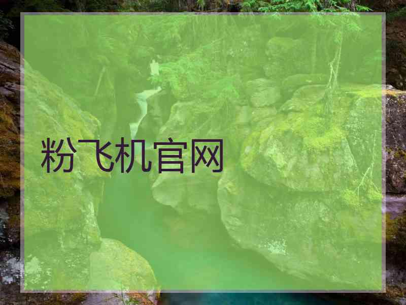 粉飞机官网