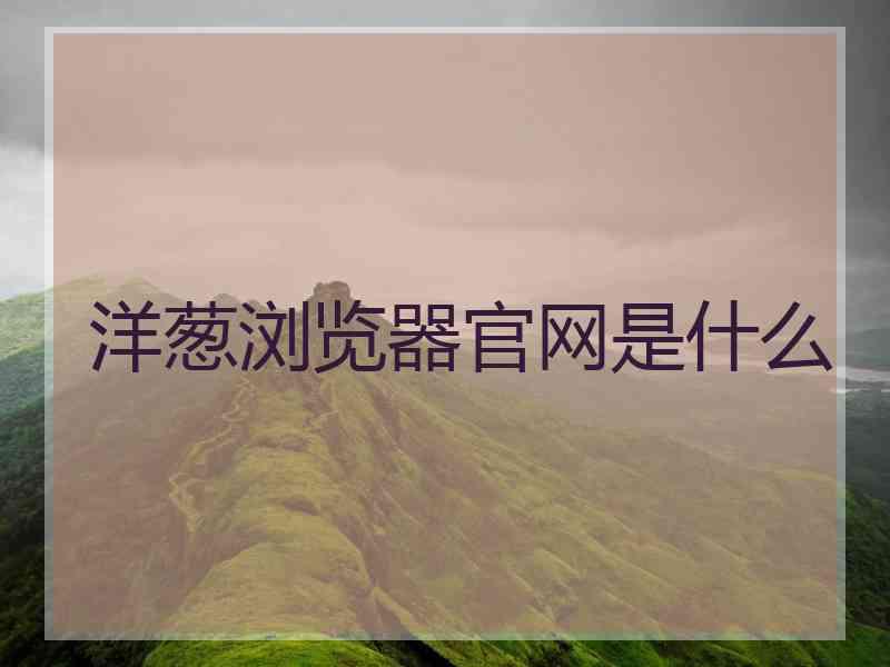 洋葱浏览器官网是什么