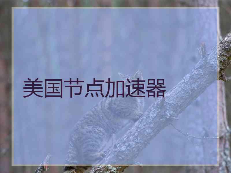 美国节点加速器