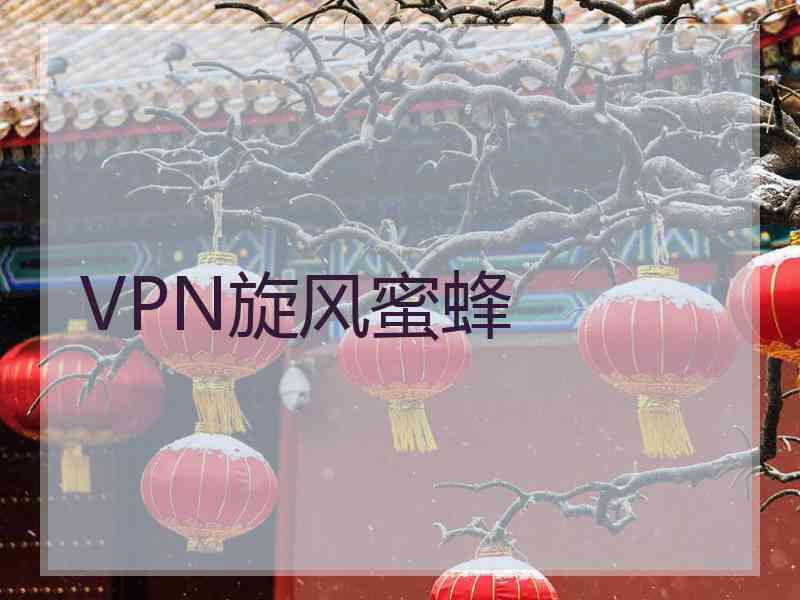 VPN旋风蜜蜂