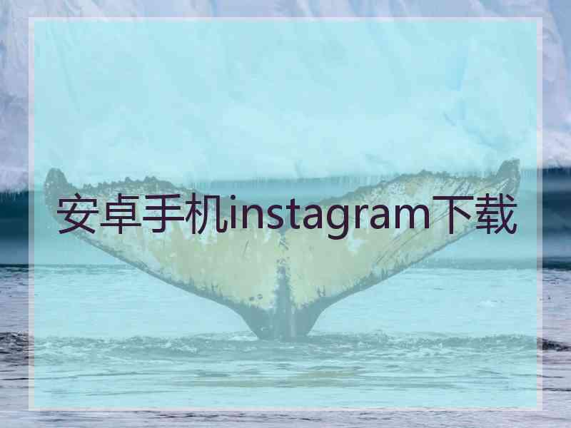 安卓手机instagram下载