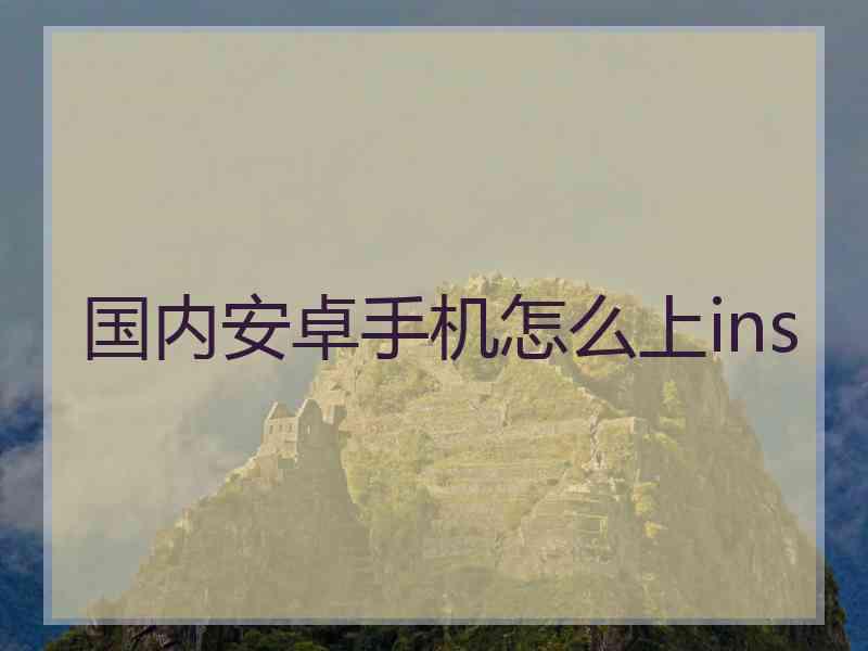 国内安卓手机怎么上ins