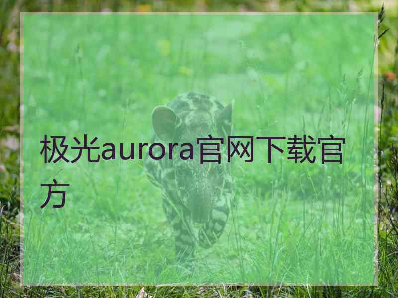 极光aurora官网下载官方