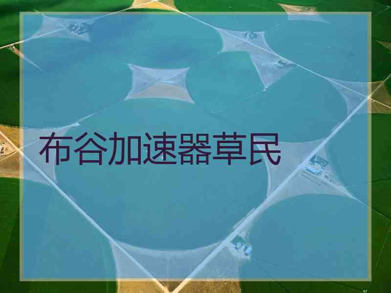 布谷加速器草民
