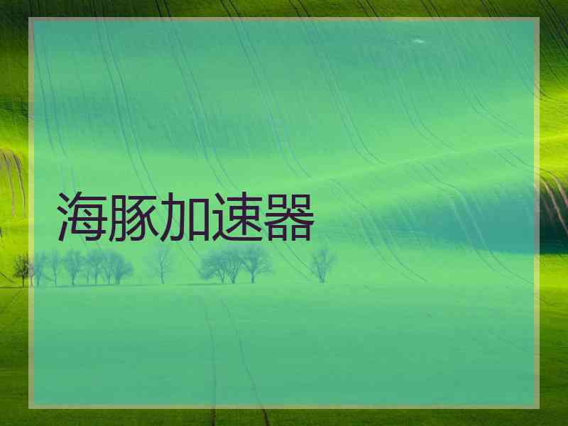 海豚加速器