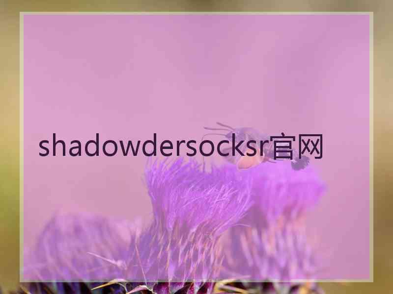 shadowdersocksr官网