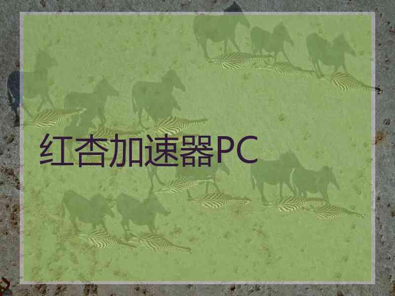 红杏加速器PC