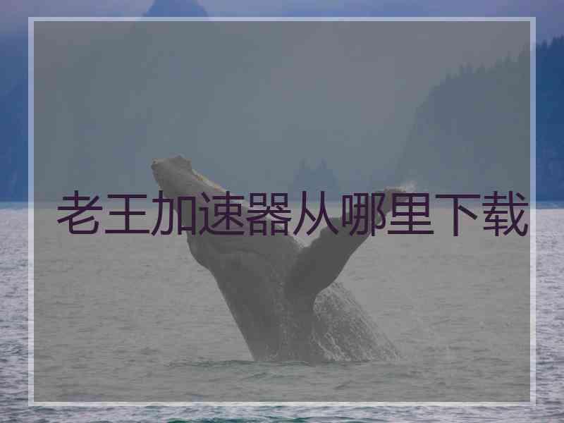 老王加速器从哪里下载