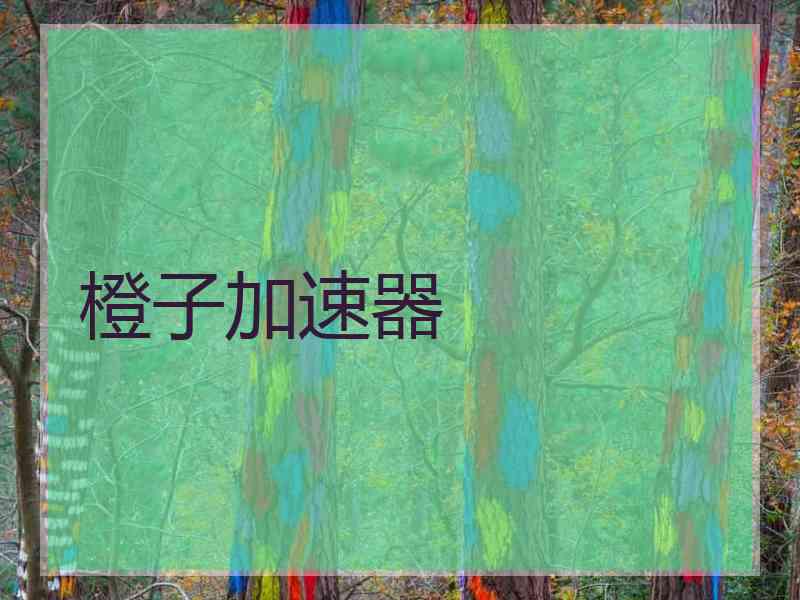 橙子加速器