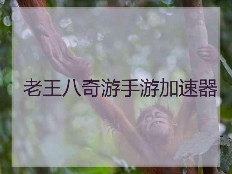 老王八奇游手游加速器