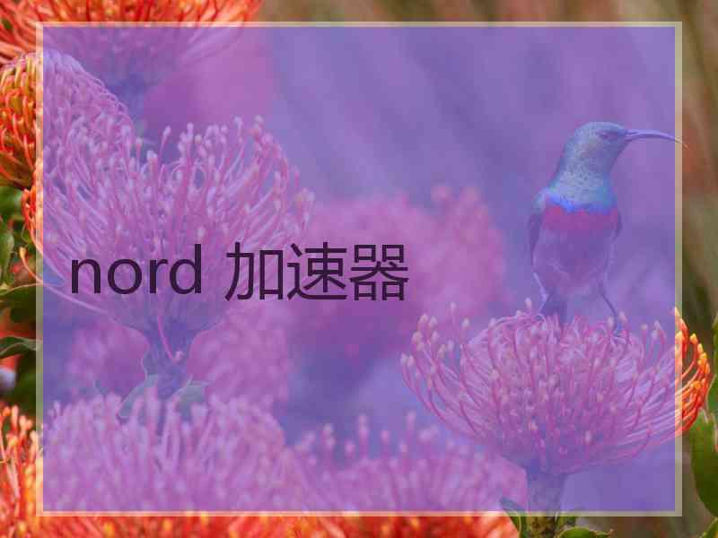 nord 加速器