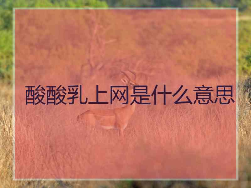 酸酸乳上网是什么意思
