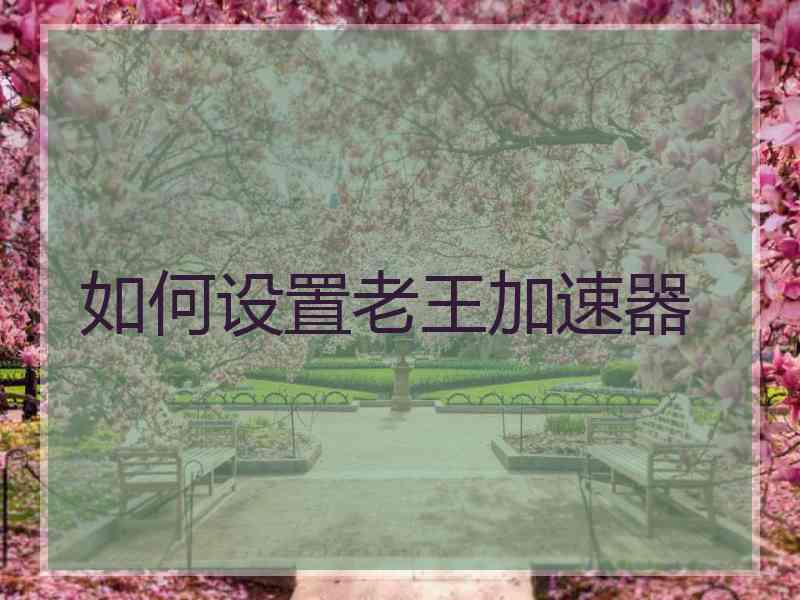 如何设置老王加速器