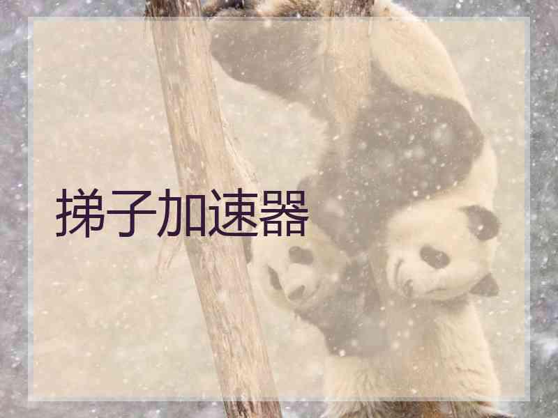 挮子加速器