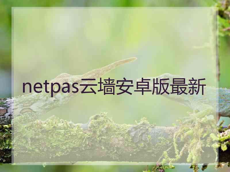 netpas云墙安卓版最新