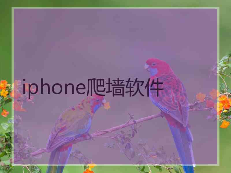 iphone爬墙软件