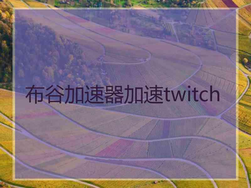布谷加速器加速twitch