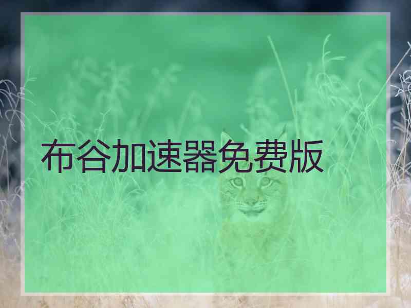 布谷加速器免费版