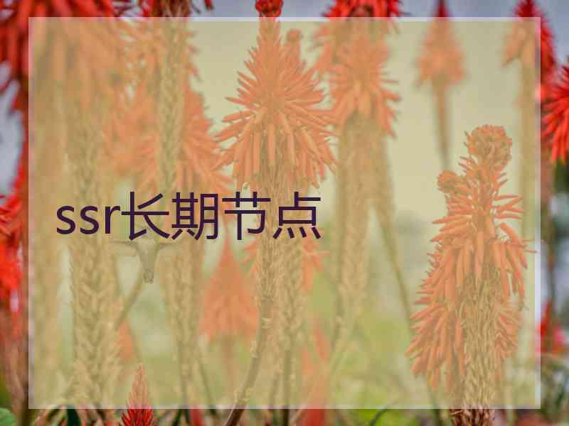ssr长期节点