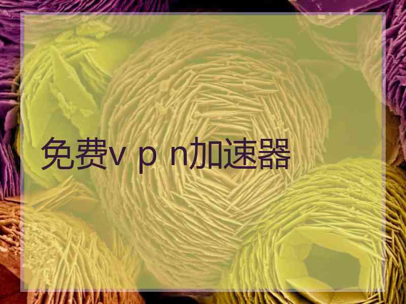 免费v p n加速器