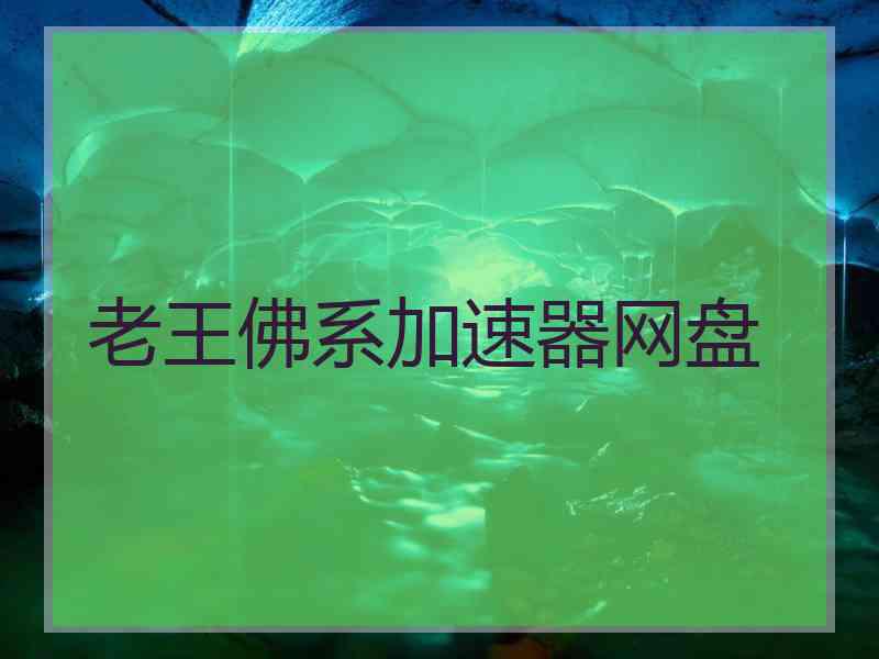 老王佛系加速器网盘