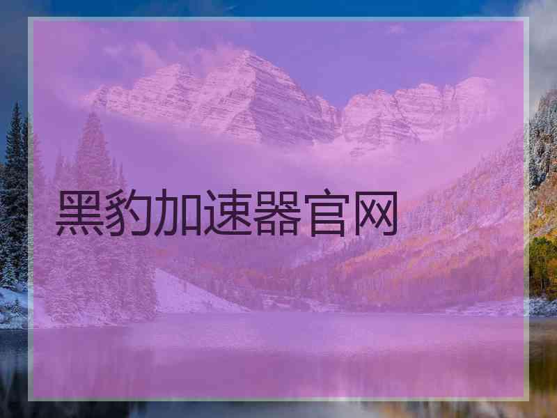 黑豹加速器官网