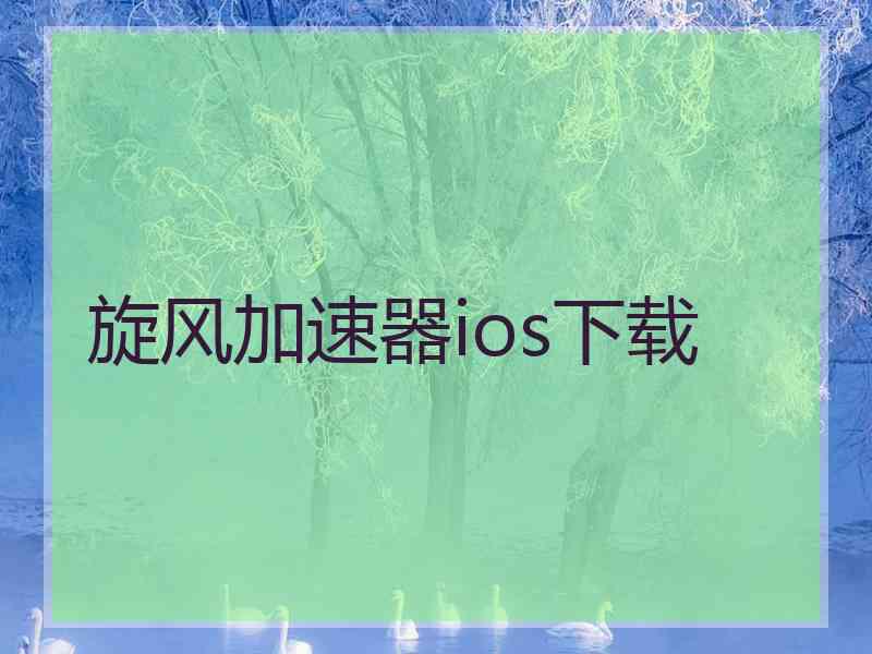 旋风加速器ios下载