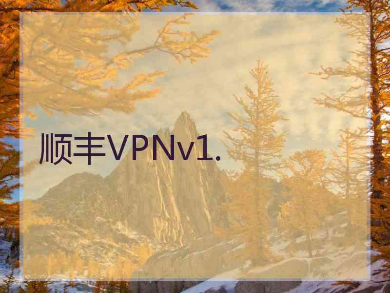 顺丰VPNv1.
