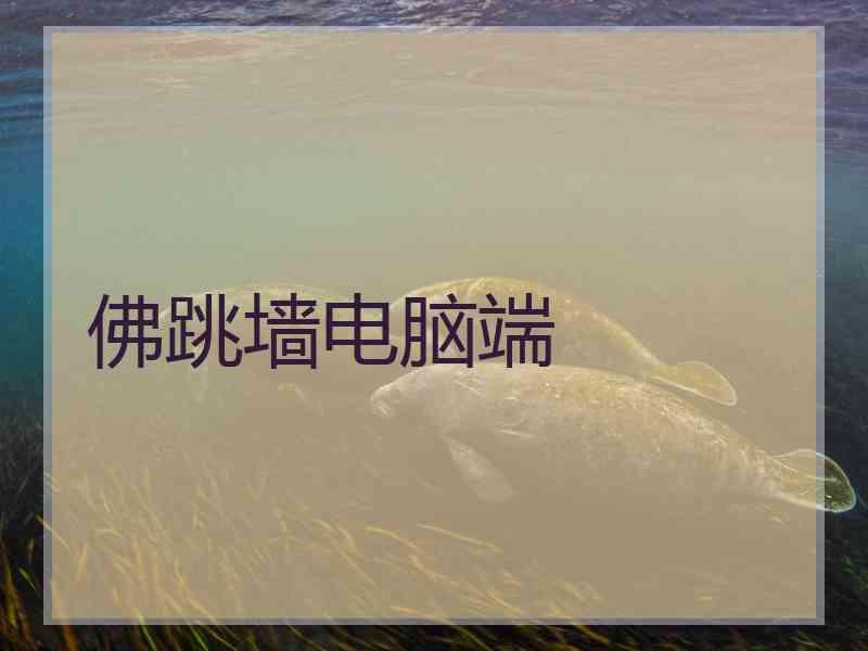 佛跳墙电脑端