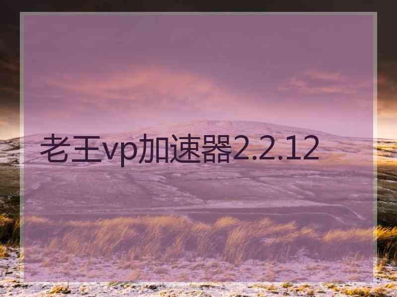 老王vp加速器2.2.12