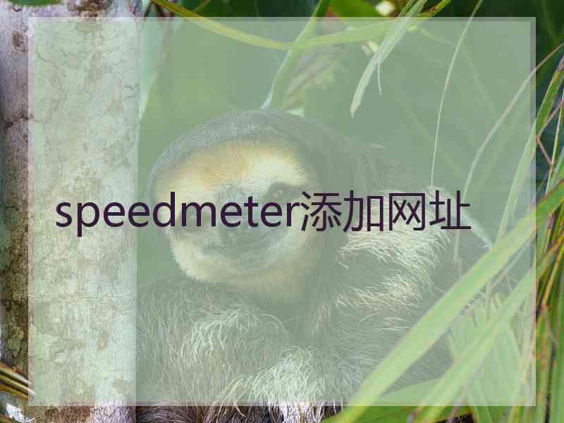 speedmeter添加网址