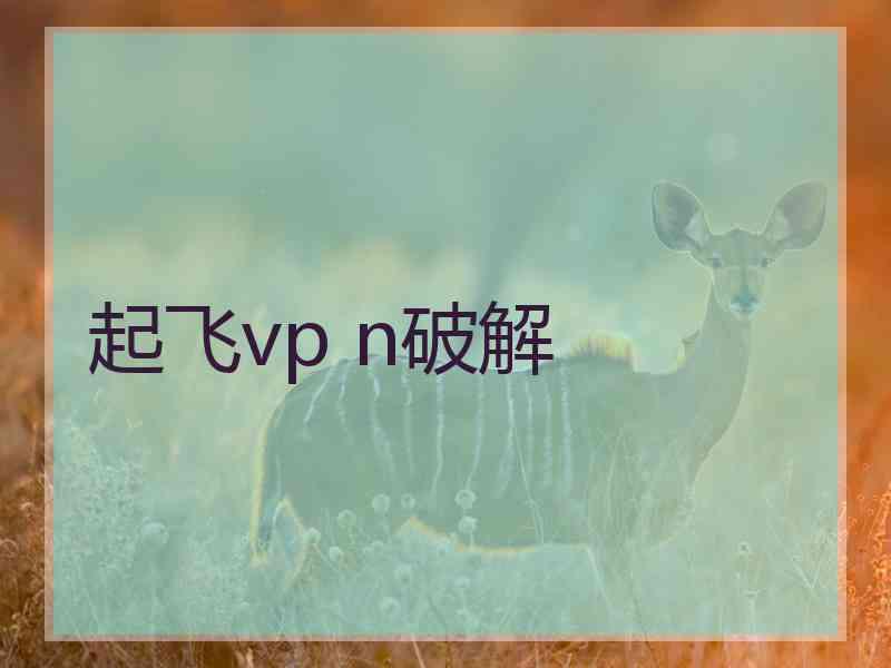 起飞vp n破解