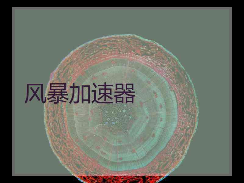 风暴加速器