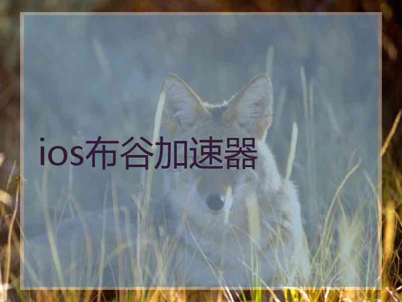 ios布谷加速器
