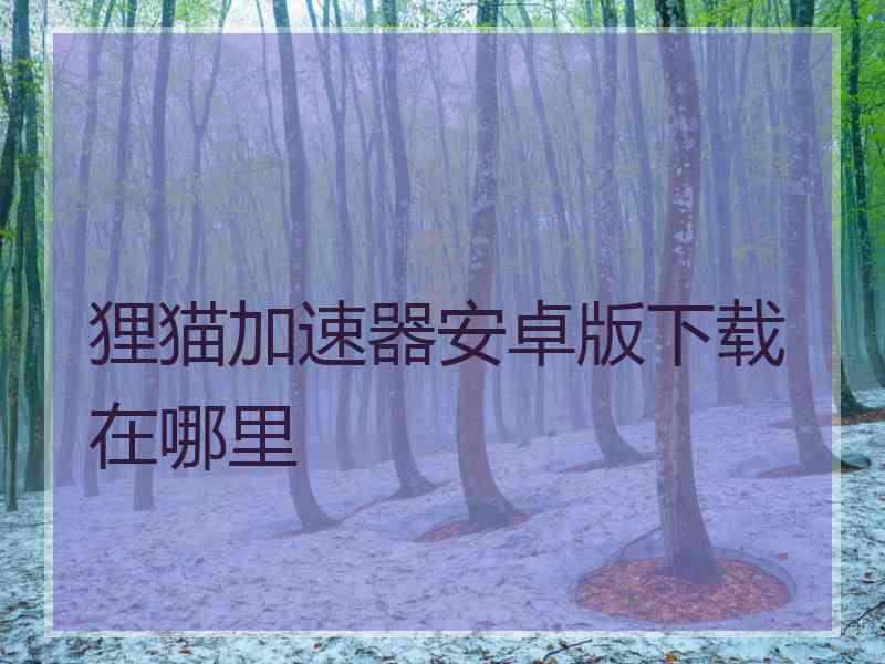 狸猫加速器安卓版下载在哪里