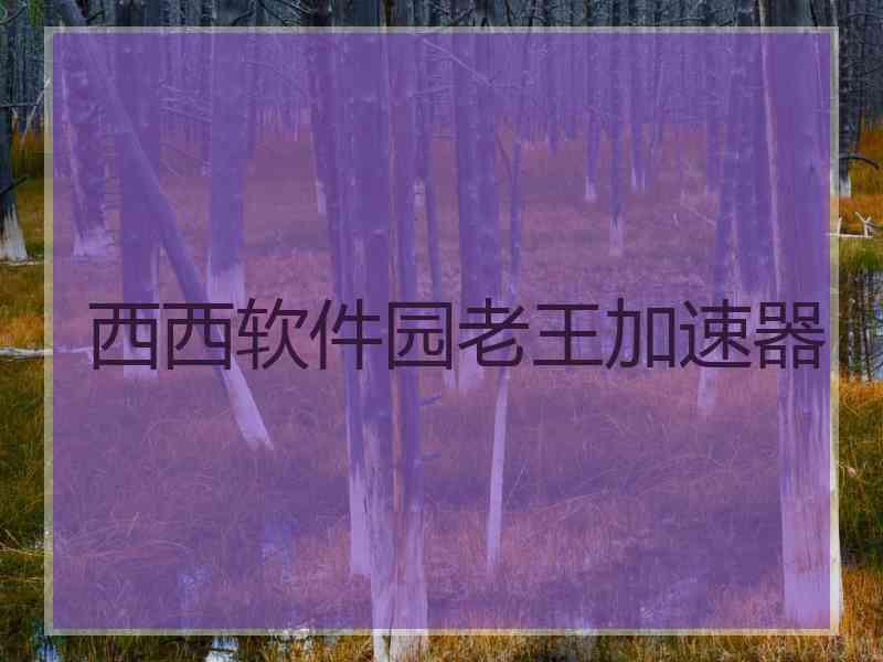 西西软件园老王加速器