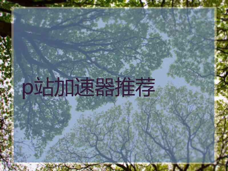 p站加速器推荐