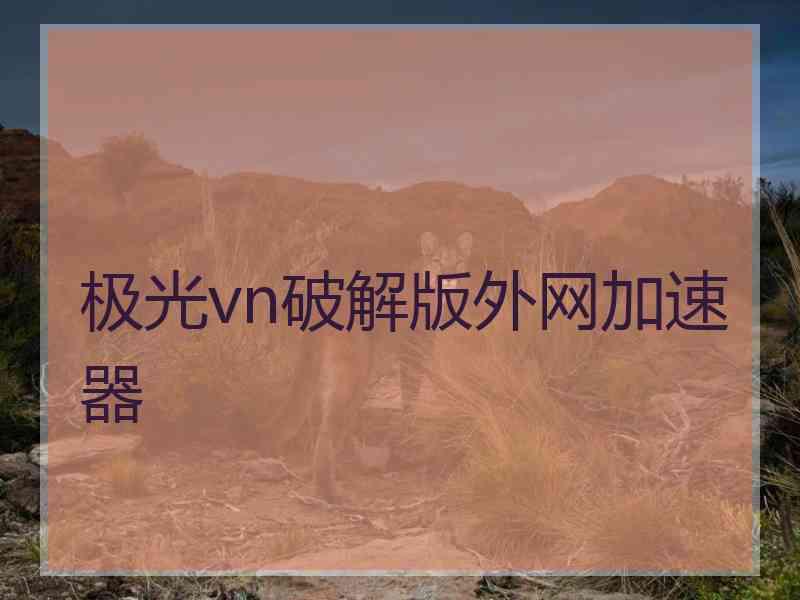 极光vn破解版外网加速器