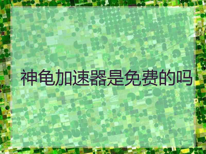 神龟加速器是免费的吗
