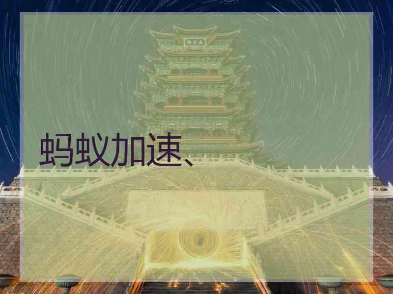 蚂蚁加速、