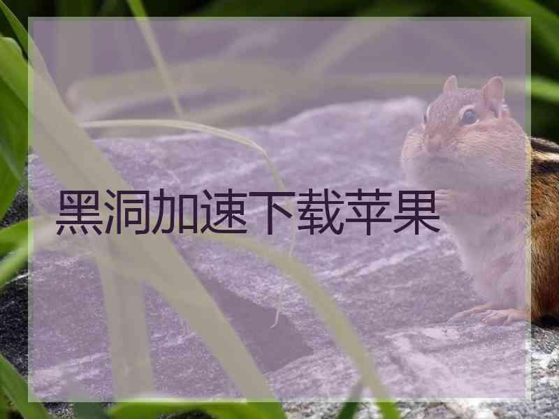 黑洞加速下载苹果