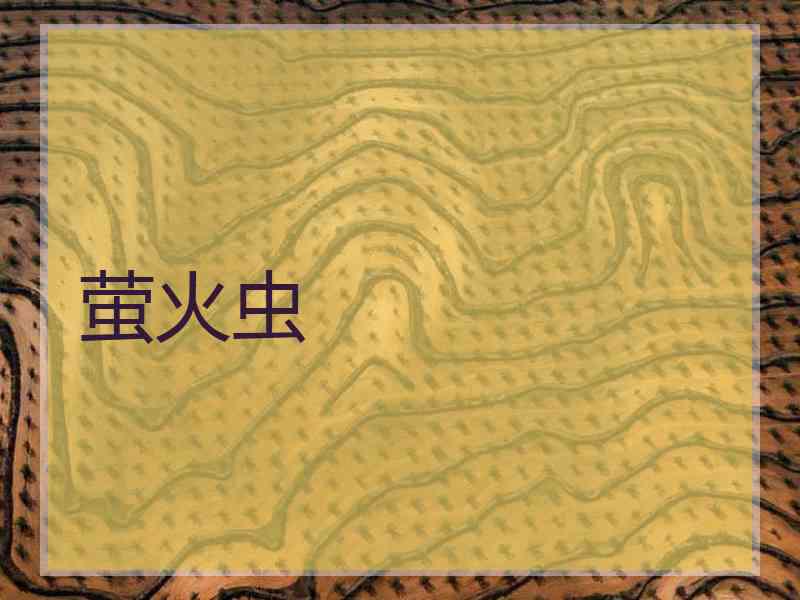 萤火虫