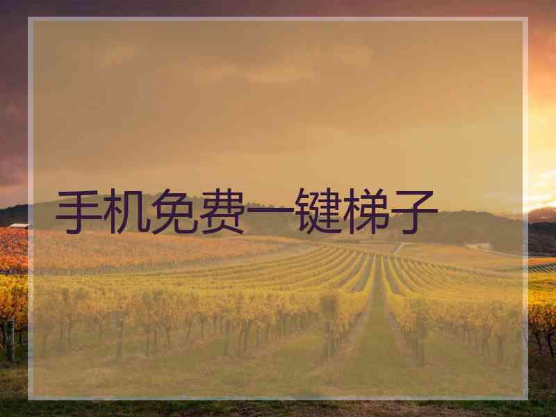 手机免费一键梯子