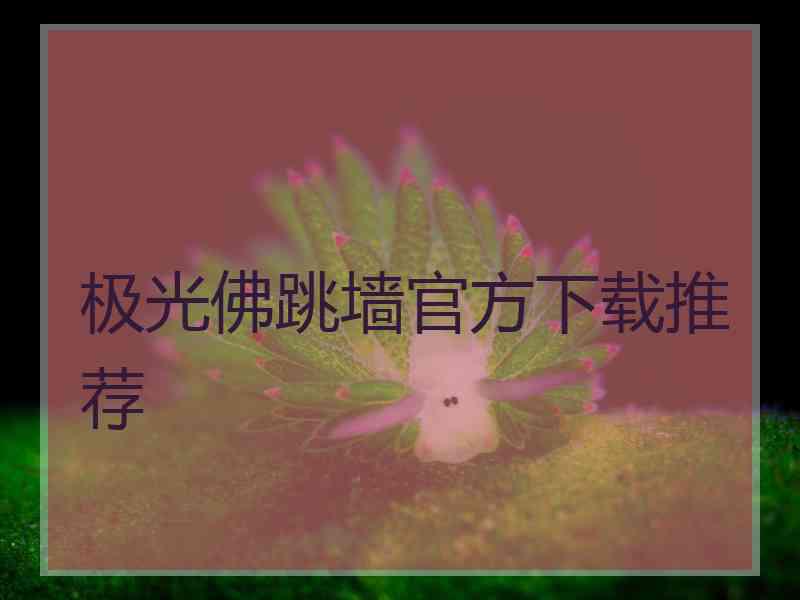 极光佛跳墙官方下载推荐