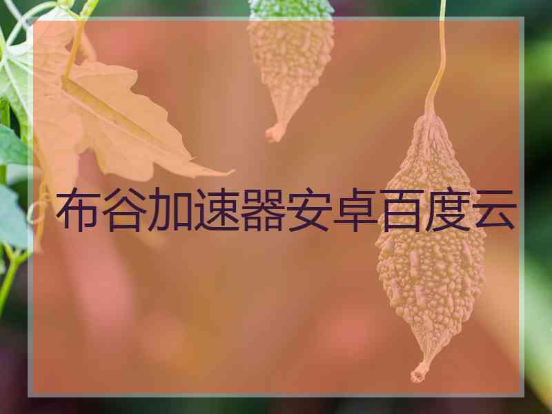 布谷加速器安卓百度云