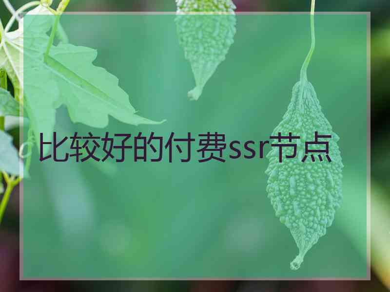 比较好的付费ssr节点