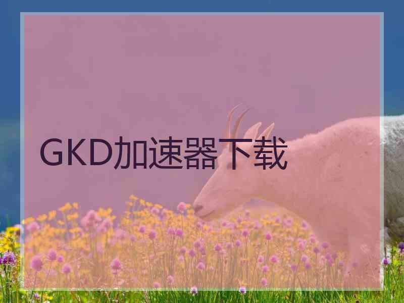 GKD加速器下载