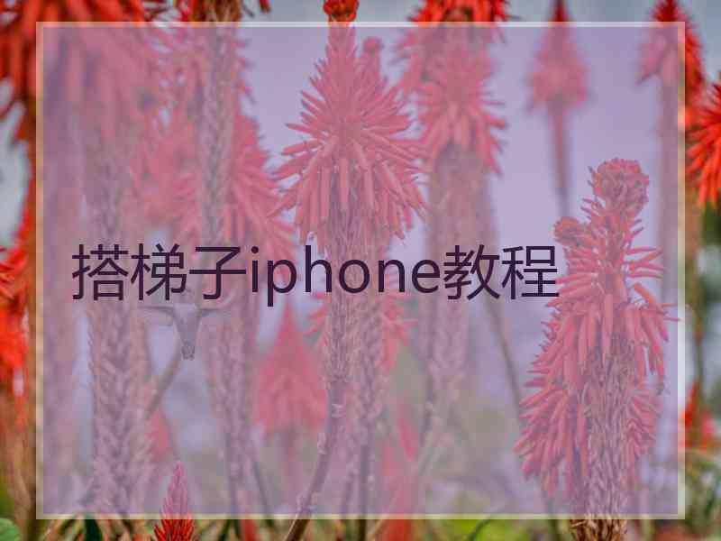 搭梯子iphone教程
