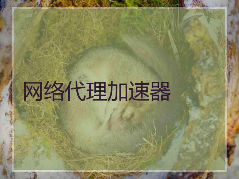 网络代理加速器