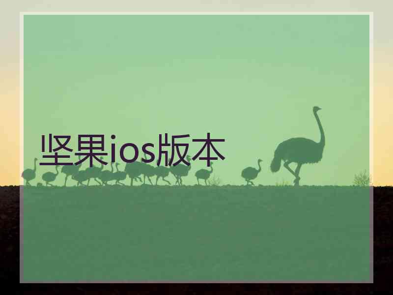 坚果ios版本